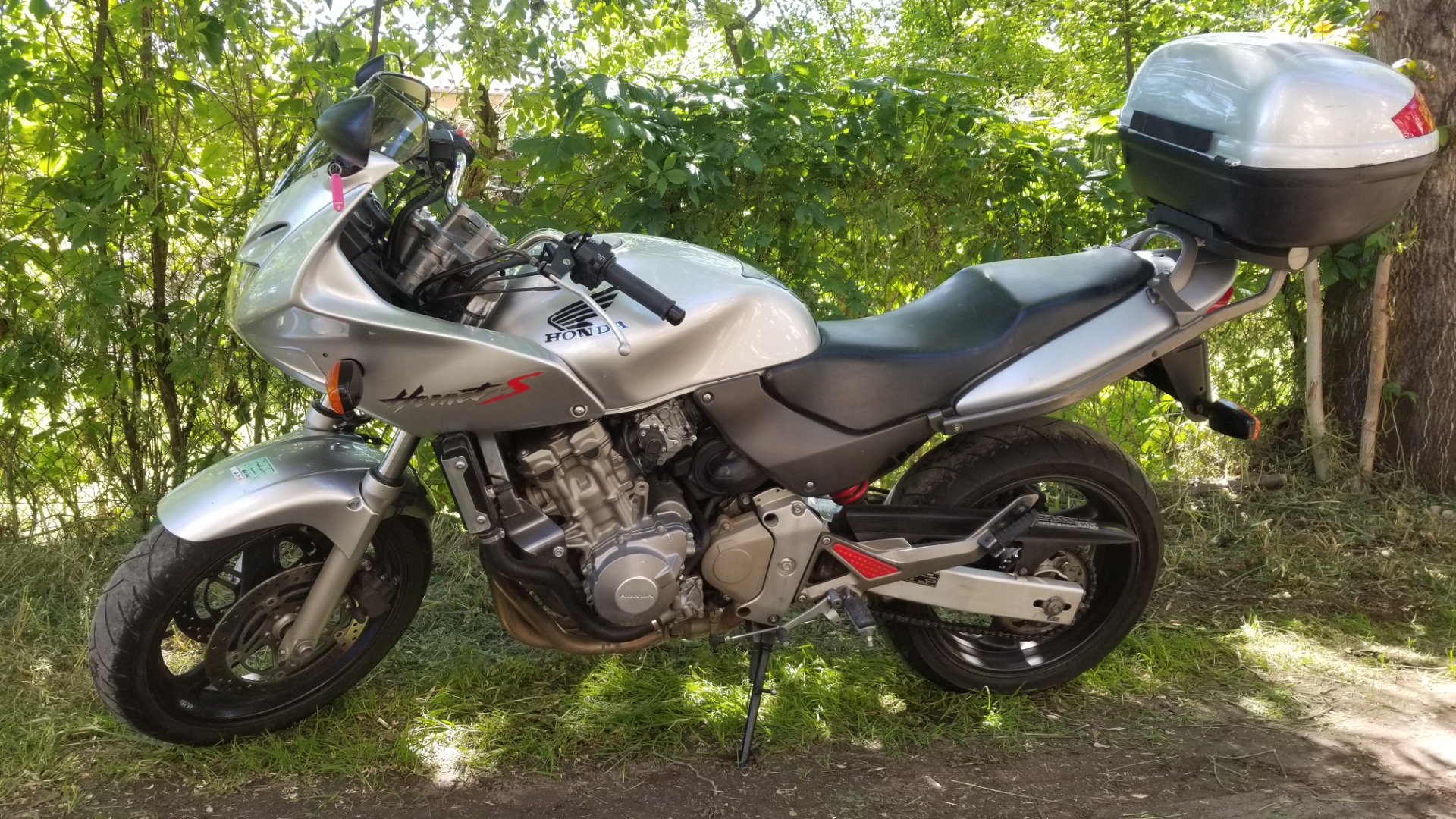 Honda hornet s